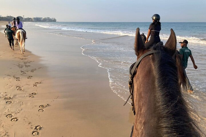 Private Horse Riding Activity in Port City - Photo 1 of 6